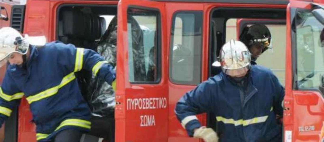 Η ανάρτηση της Πυροσβεστικής για την Παγκόσμια Ημέρα των Ζώων (φώτο)